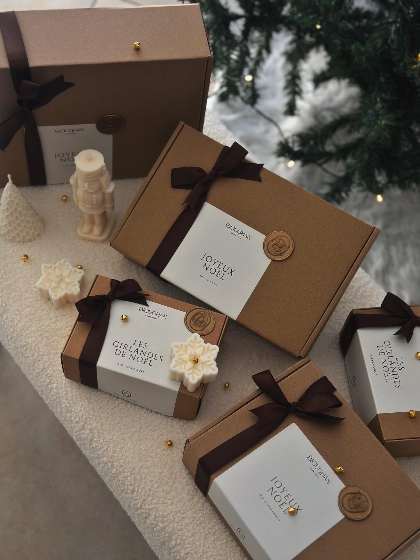 Élégance d’Hiver