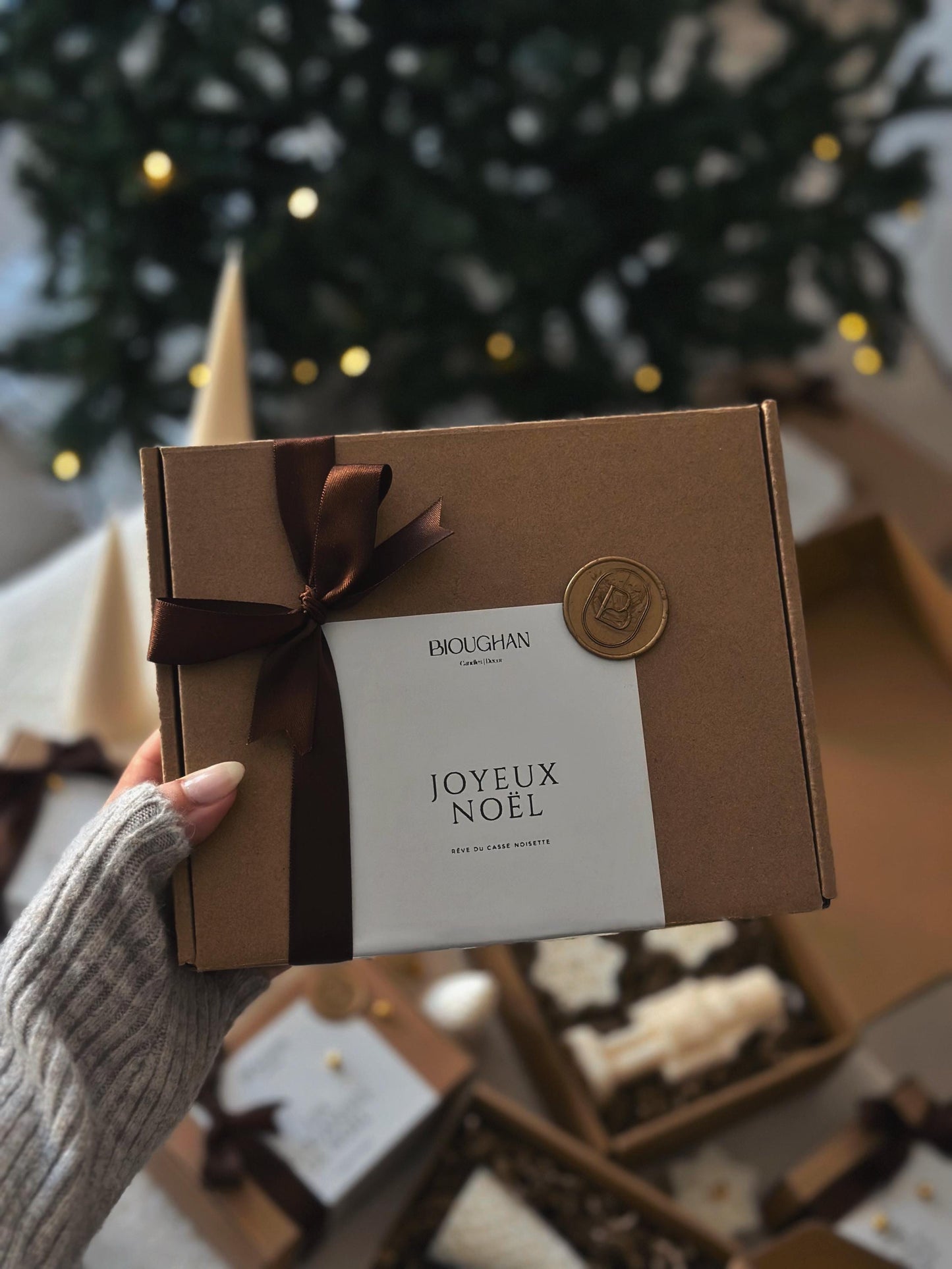 Coffret Magie dâHiver