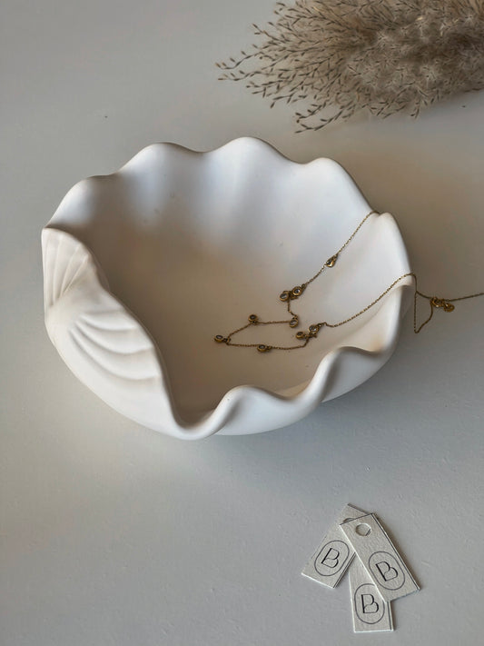 Large Clam Shell