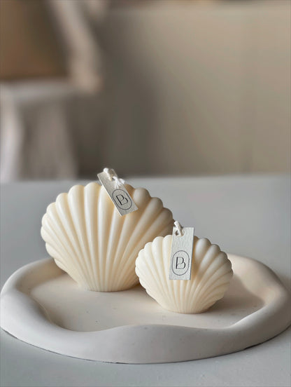 Sea Shell Candles