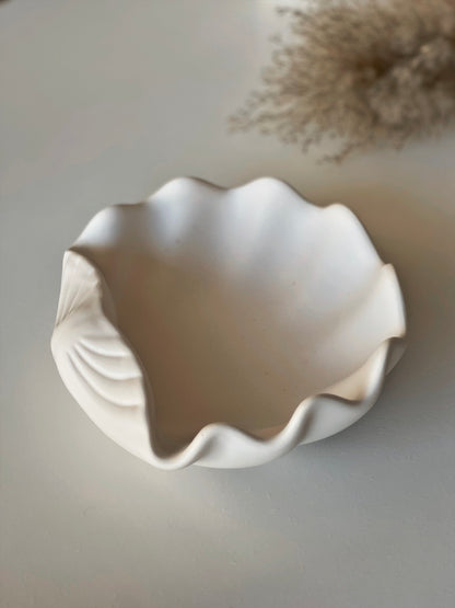 Large Clam Shell