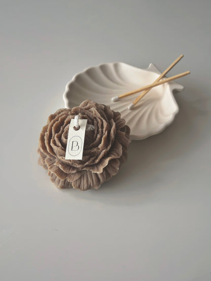 Small Shell