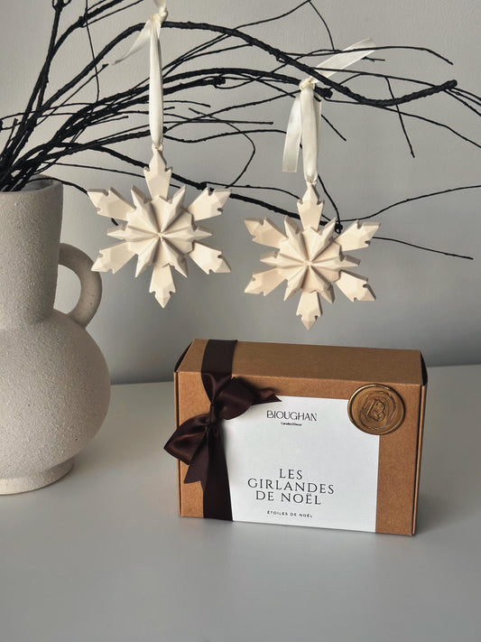 Guirlandes Étoiles d’Hiver