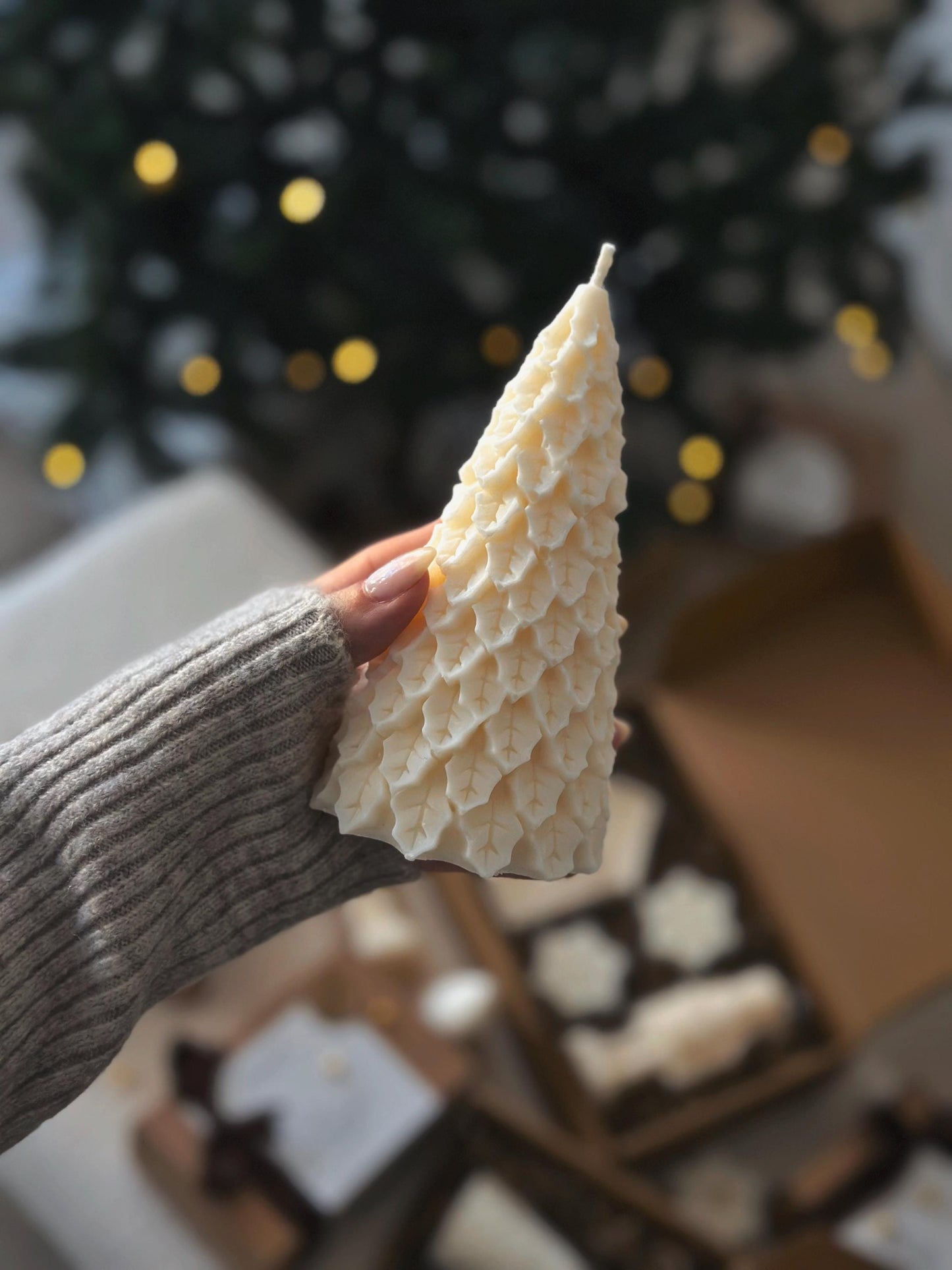 Élégance d’Hiver