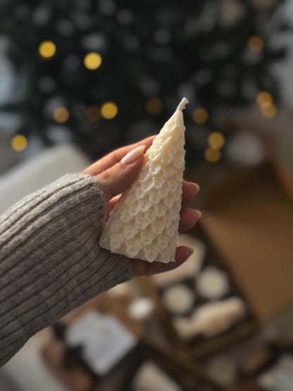 Coffret Magie d’Hiver