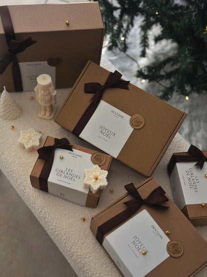 Élégance d’Hiver